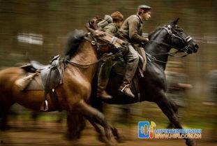 《战马》电影在线观看,跨越时空的传奇，见证生命的坚韧与勇气