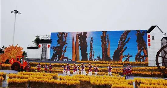 南京近期爆料新闻视频最新,神秘事件视频引发网友热议