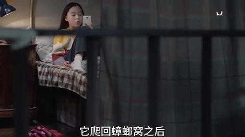 爆料小孩姐姐视频播放下载,小孩姐姐视频播放下载背后的真相