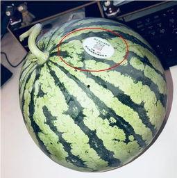 网红们的吃瓜,揭秘娱乐圈幕后故事