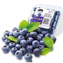 蓝莓网友爆料视频大全,揭秘网络热点背后的真相