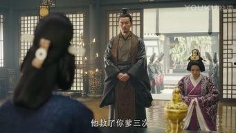 军师联盟42集在线观看,谋略巅峰，智斗风云再起