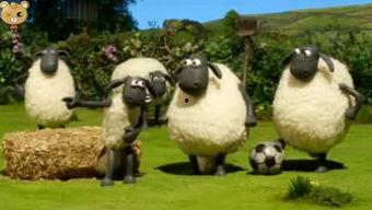 小羊最新爆料出轨是哪一集,出轨真相揭露，哪一集成为舆论焦点？